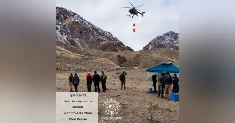 EP 93: Your money on the ground with WSSBC Projects Chair, Chris Barker