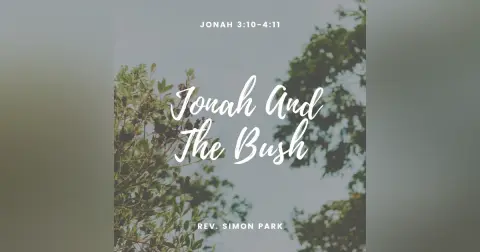 Jonah And The Bush