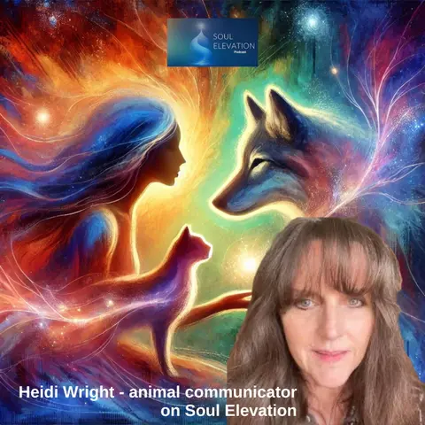 406. Animal Communication: Strengthening Your Connection to Your Pets with Animal Communicator Heidi Wright