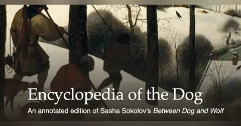 608 The Encyclopedia of the Dog (with Jose Vergara) | My Last Book with Gareth Russell