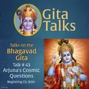 Gita Talk 43–Arjuna's Cosmic Questions