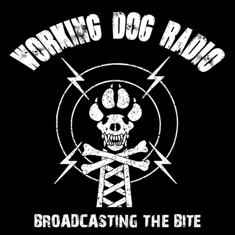 Episode 265: The Dog Looked Great…Until He Hugged the Wall
