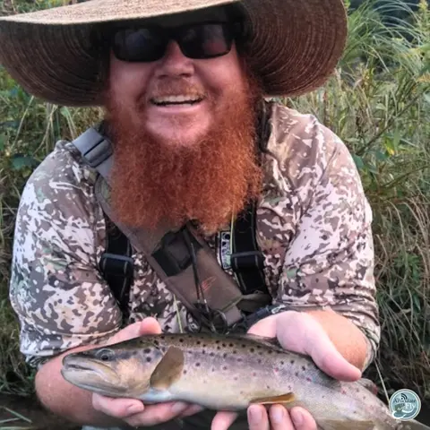 S6, Ep 43: PJ Smith Unravels the Driftless Mysteries