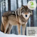 The problem with wolves with John Legnard