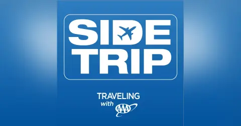 The Pet Owner's Guide to Stress-Free Travel with Scott Taylor