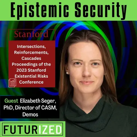 Epistemic Security
