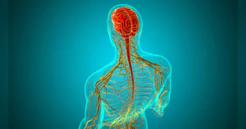 Common Neurosurgical Infections