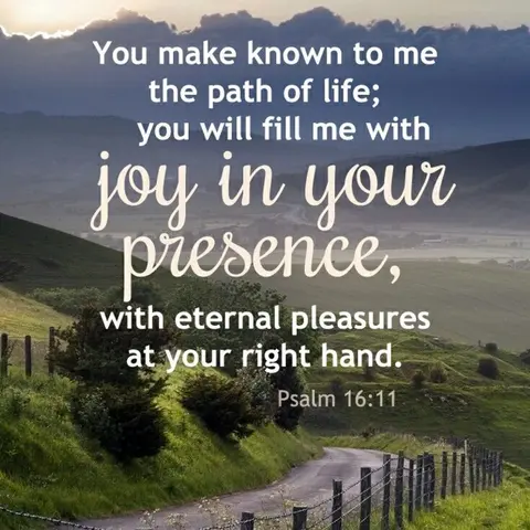 Life Joy and Pleasure