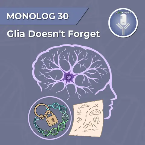 Monolog 30 - The glia doesn't forget