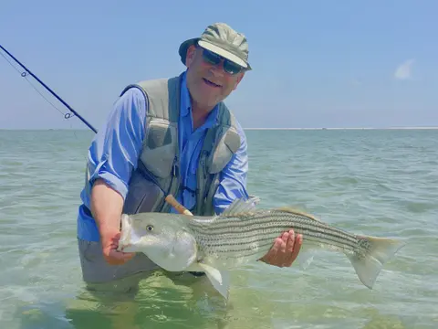 Taming Tides, Rips, and Currents on the Cape Cod flats with Patrick Cassidy