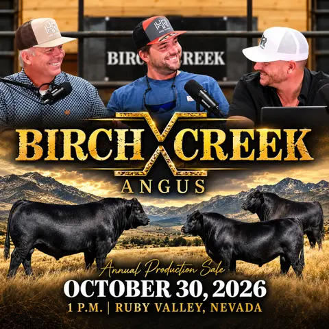 Birch Creek Bull & Female Offering 2026