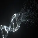 Dr. Robert Malone | Lies My Government Told Me, The Medical Industrial Complex, & The Transhumanist Plan