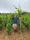 The Wine Critic Evolution w/ William Kelley, The Wine Advocate