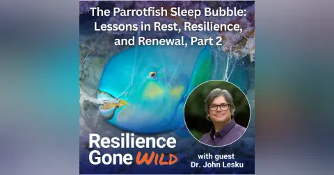 The Parrotfish Sleep Bubble: Lessons in Rest, Resilience, and Renewal, with guest Dr. John Lesku, Part 2