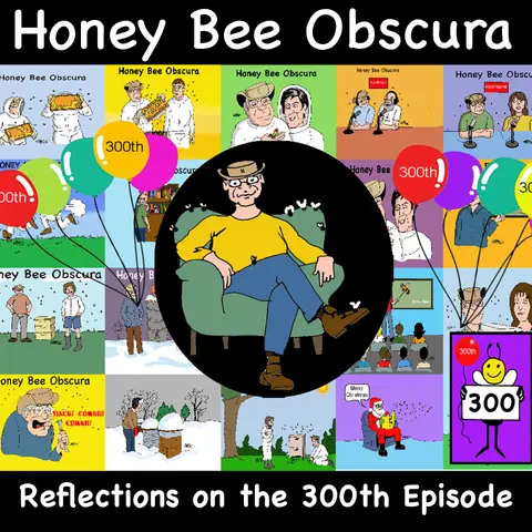 Reflections on the 300th Episode