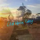 Old Horse Grey