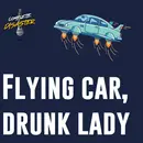 Don't drink while flying your car