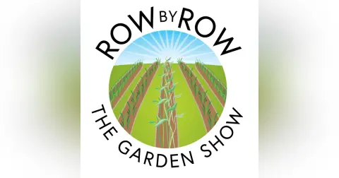 Growing Calendula & How To Use It