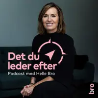 Det du leder efter