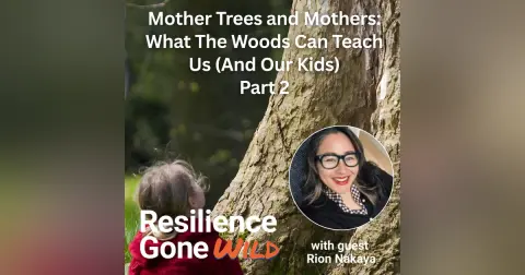 Mother Trees and Mothers: What The Woods Can Teach Us (And Our Kids)