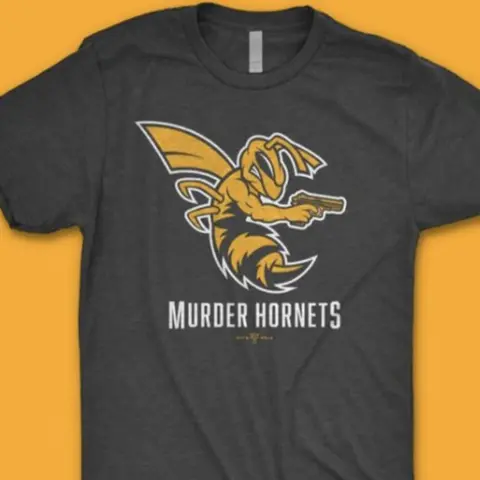 #93 | Murder Hornets | Positivity in Chaos | Comprehension | Conspiracy | New Podcast | TMMAConspiracy | Covid-19 | Media | Television | Pandemic | New Norm | Better World | Veil is Lifting