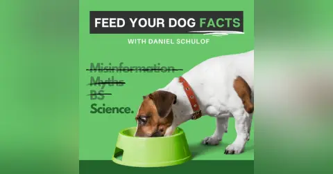 How to Find the Right Puppy Food?