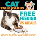 Free Feeding vs. Meal Feeding: What's Best for Your Cat's Mind?