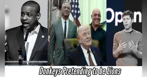 Donkeys Pretending to be Lions - Insanity Check