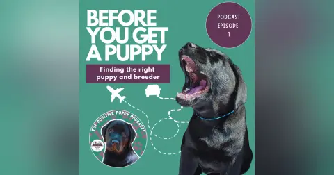 Episode 1: Before You Get A Puppy