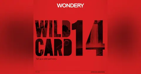 Armchair Anonymous: Wild Card XIV
