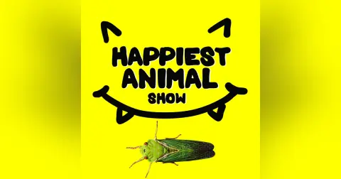 Loud Animals (with artist Mike Matola and a Jimothy the Raccoon song)