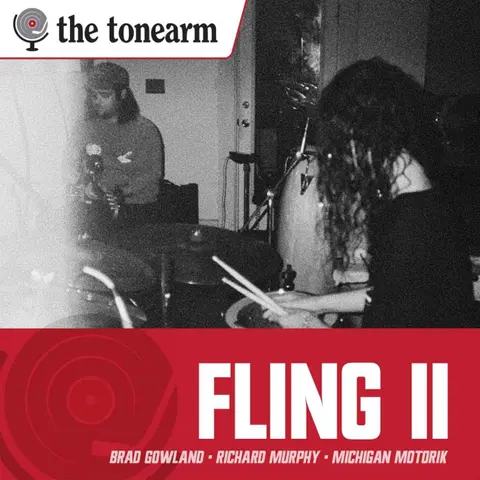 Fling ii: Modular Synths, Pedal Steel, and Michigan Motorik