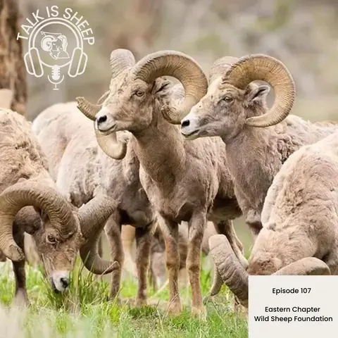 EP 107: Eastern Chapter of Wild Sheep Foundation