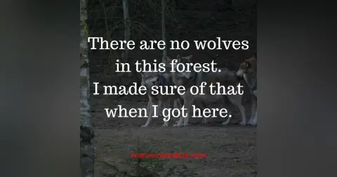 There Are No Wolves in this Forest