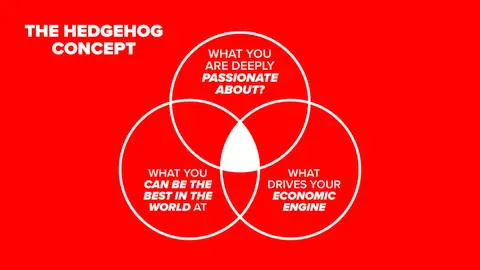 The Hedgehog Concept