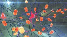 Episode 68 -- Meningitis and Encephalitis – An Interview with Dr. Andrew Hogan