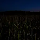 Horror Short Story: PREDICTING THE UNKNOWN