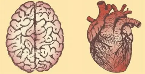 Infective Endocarditis-Associated Stroke