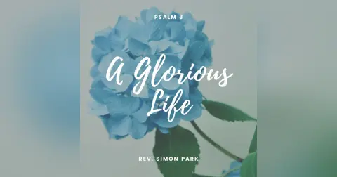 A Glorious Life