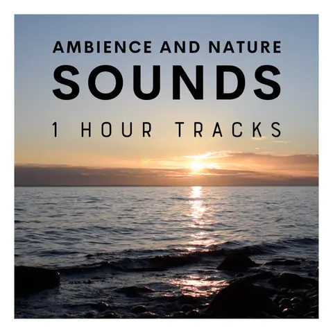 Ambience: Evening waves during sunset on Danish island (1 hour)