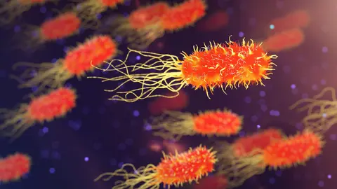 World Sepsis Day 2026: Beware The Great Impostor