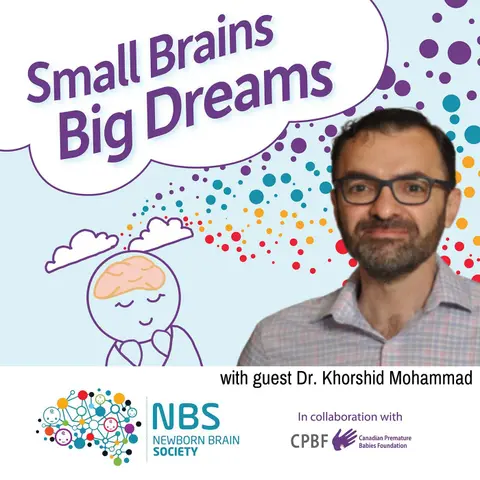On Mentorship with Dr Khorshid Mohammad