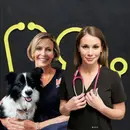 #130: The Joyful Emergency Vet: Essential Strategies For A Long And Happy Career In Emergency Veterinary Practice. With Dr Brooke Schampers and Dr Taleta Hompas