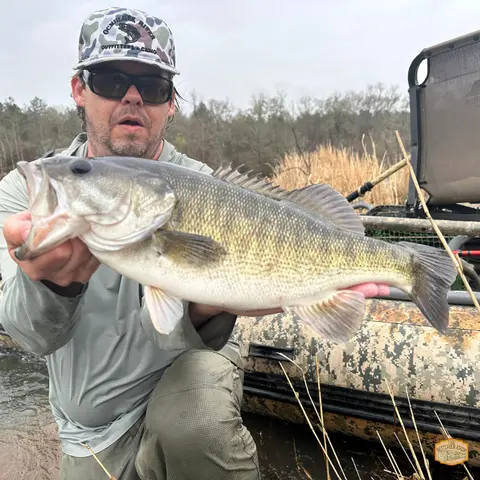 BONUS: From Concept to Catch: A Deep Dive into the Tweaker with Fletcher Sams