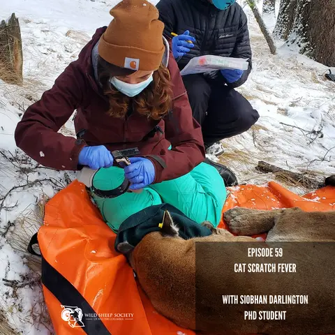 EP 59: Cat Scratch Fever with Siobhan Darlington