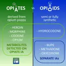#163 Urine Drug Screening Nuances: 5 Pearls Segment