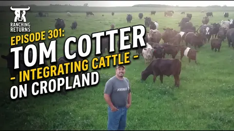 301: Tom Cotter - Cattle and Crop Integration
