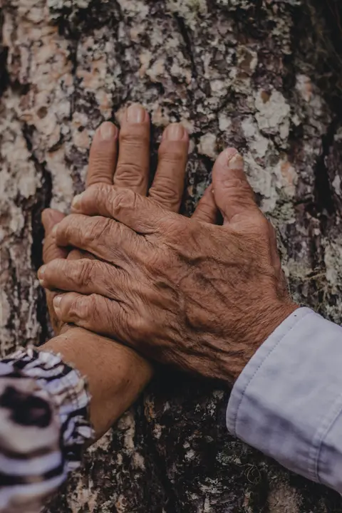 Love That Lasts: What the Bible Teaches About Healthy Relationships