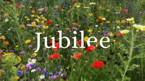 Cath Carter with Lydia Dicas · Jubilee · 10th May 2026