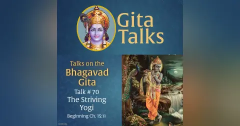 Gita Talk 70–The Striving Yogi